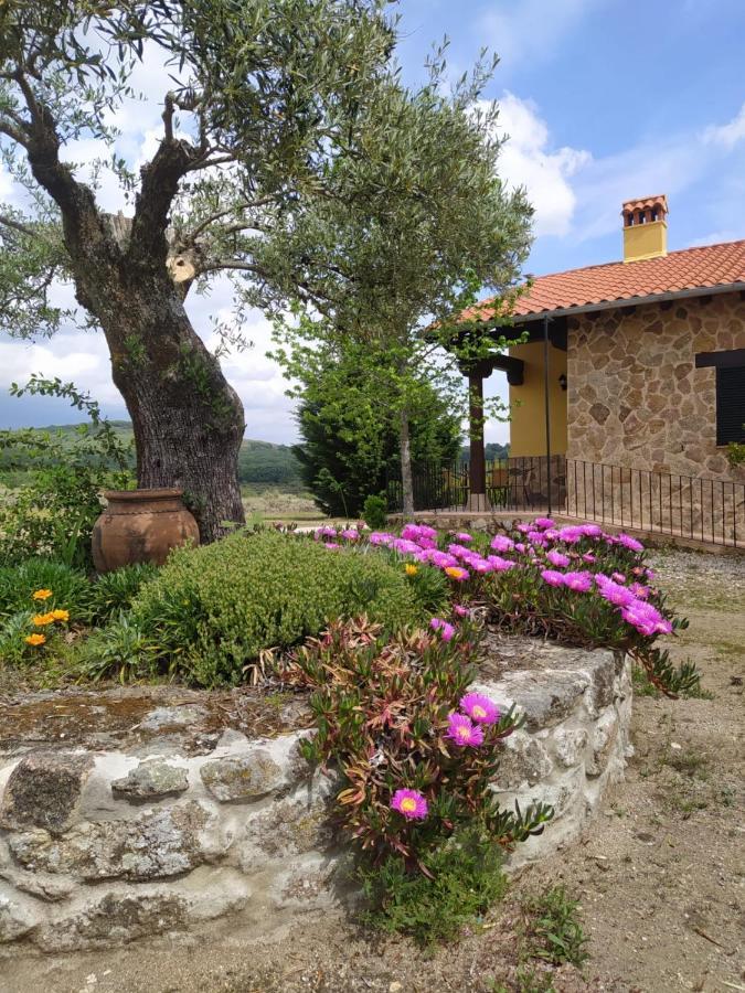 Pago De Yuste - Apartament